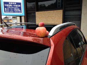 まずはここから始まった。カフェのお向いにある「松本市四賀化石館」に停めたコレオスにリンゴを載せてみたの図。